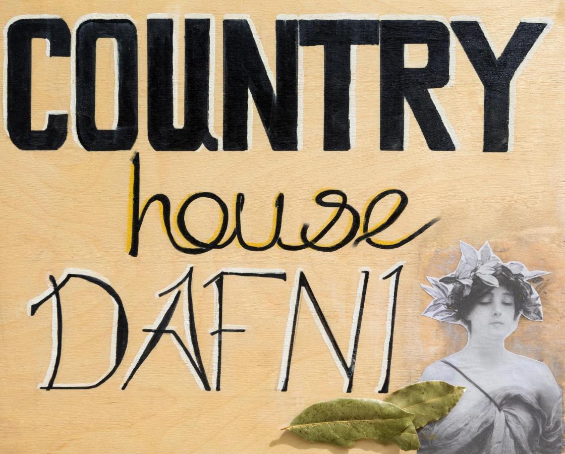 Country House Dafni Vasilikos  Exterior photo